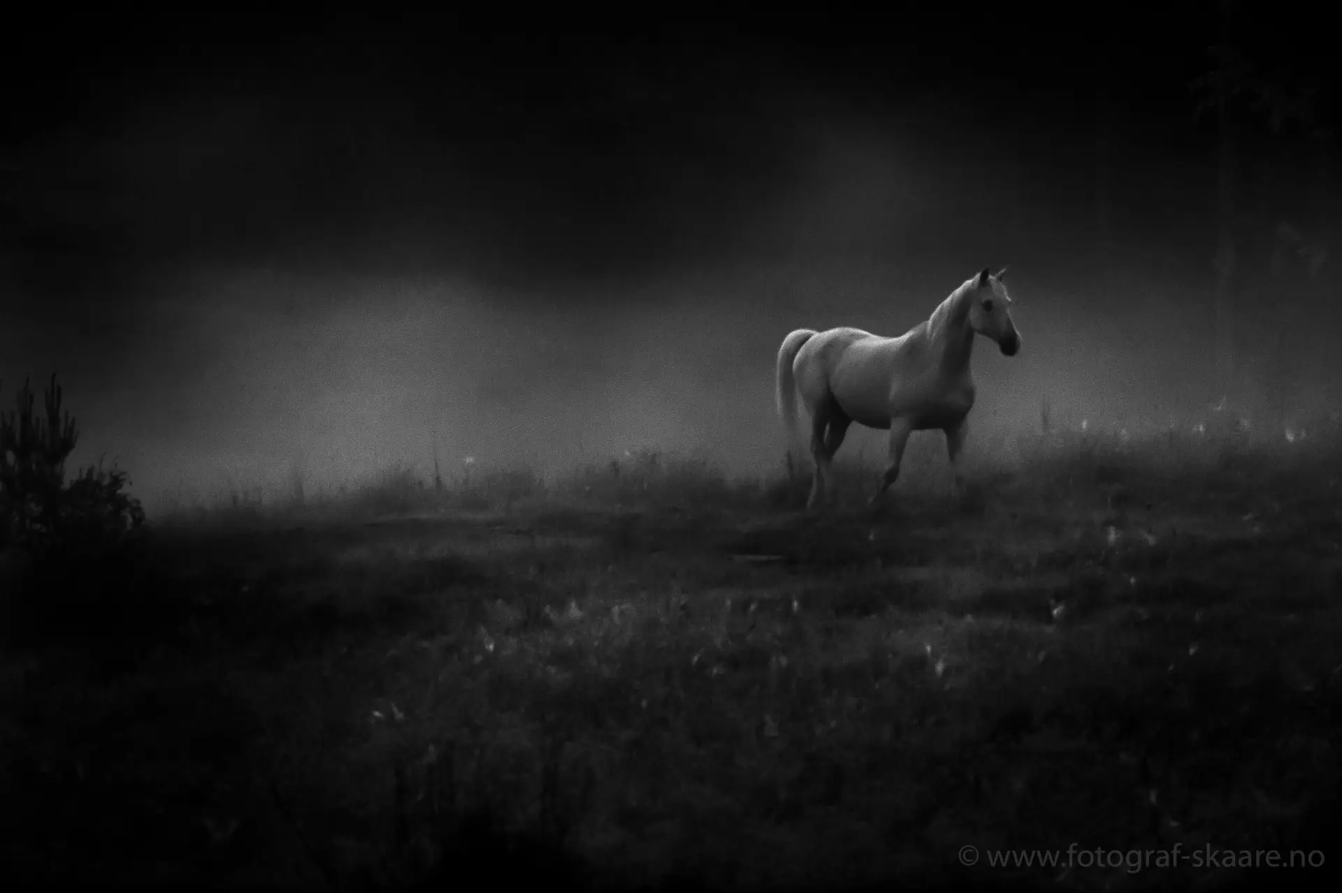 Fotokurs Portrettlys Gatelangs